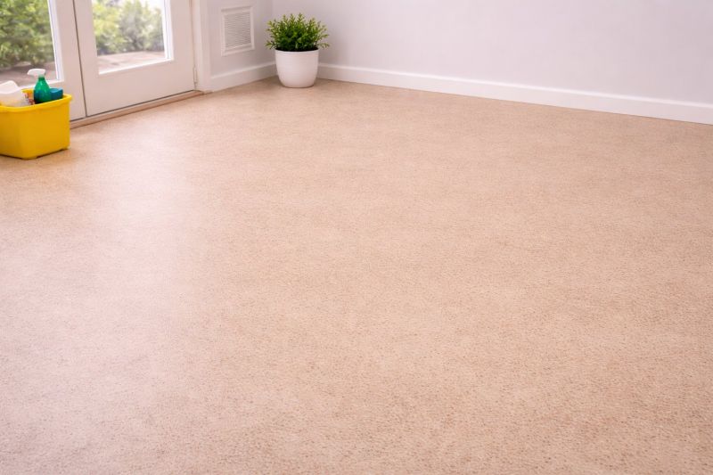 Sheet Linoleum Installation in Waconia, MN
